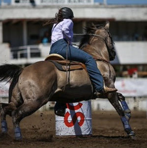 Meet your Posher, Hunter